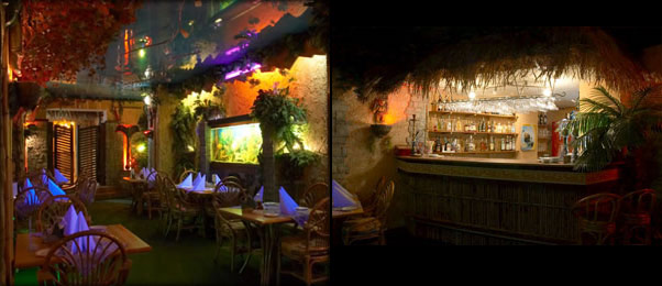 вид помещения Рестораны Амазонка на 4 мест Краснодара